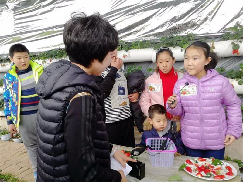 研學(xué) 研學(xué)活動(dòng)