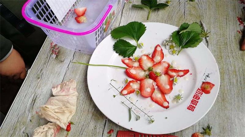 研學(xué) 研學(xué)活動(dòng)