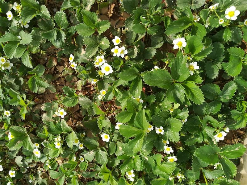 研學(xué)體驗(yàn) 親子研學(xué)