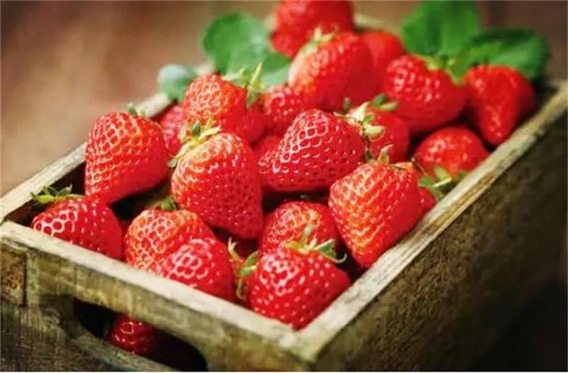 旅游研學(xué) 研學(xué)路線