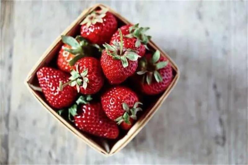 研學(xué)方案 研學(xué)方案