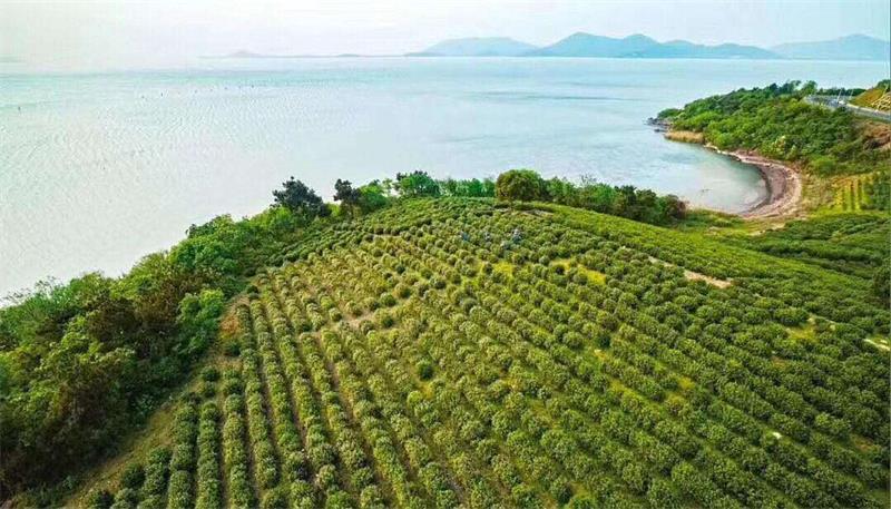 1583751538897212.jpg timg.jpg