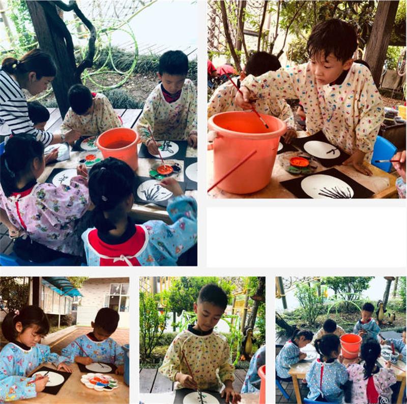 研學(xué)活動(dòng) 枇杷采摘