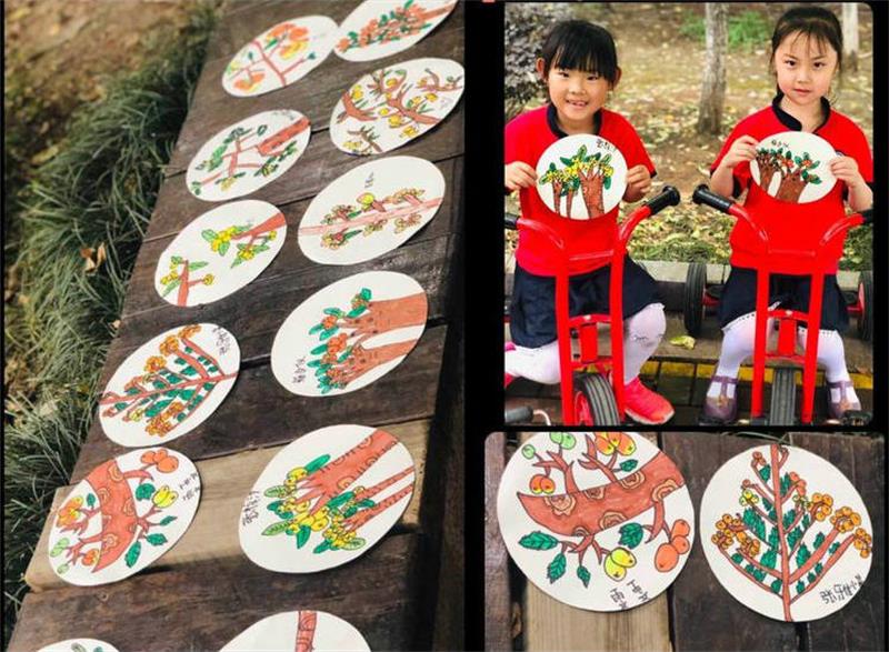 研學(xué)活動(dòng) 枇杷采摘