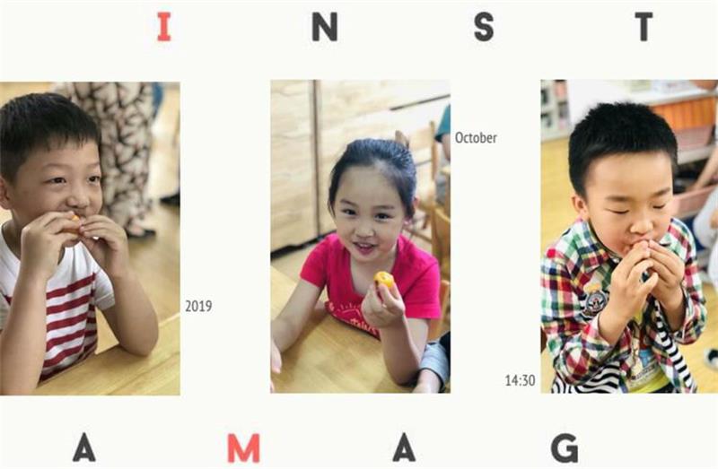 研學(xué)活動(dòng) 枇杷采摘活動(dòng)