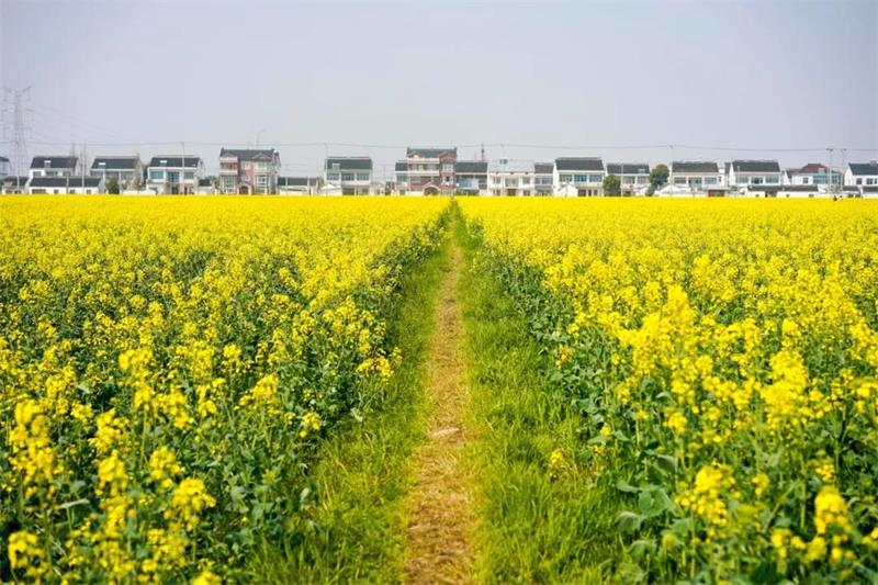 親子研學(xué) 親子研學(xué)