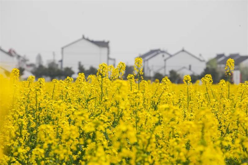 研學(xué)親子體驗