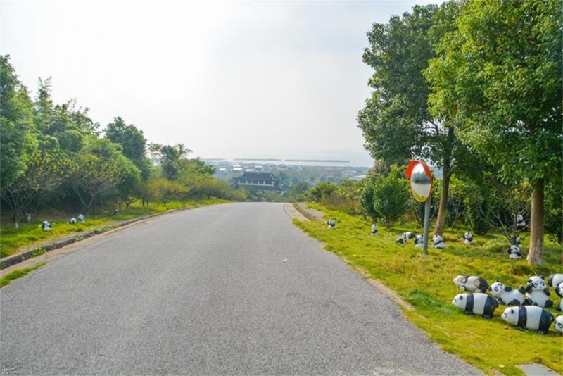 ̫�����ΈF����չ