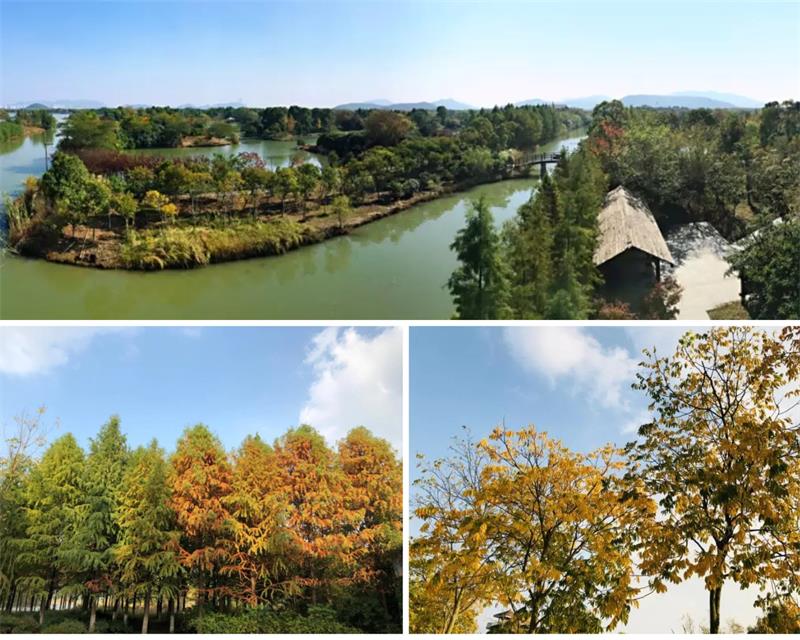 ̫�����ΈF��