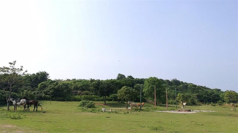 太湖營(yíng)地團(tuán)建基地 太湖團(tuán)建基地