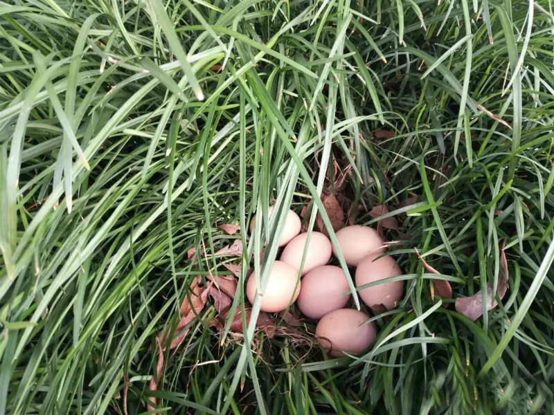 研學(xué)課程 23.jpg