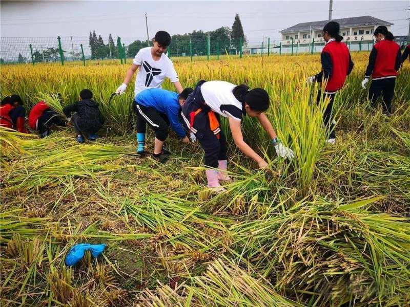 研學(xué) timg (4).jpg