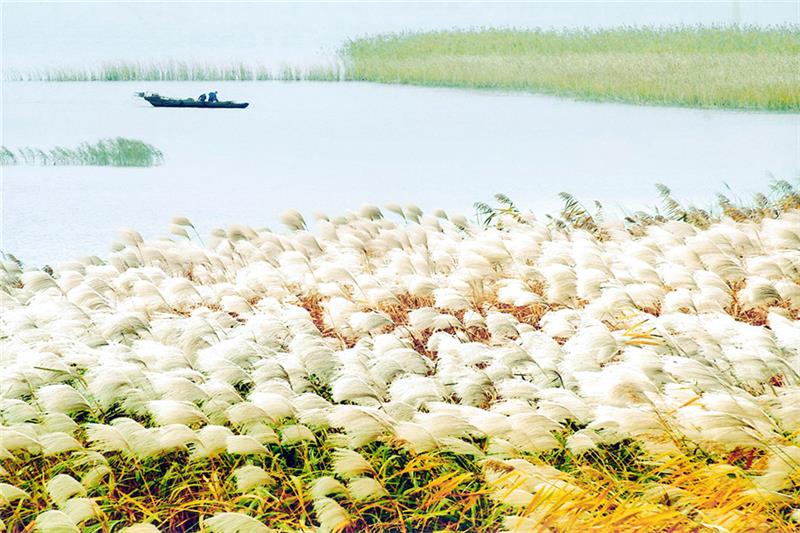 太湖湖濱國家濕地公園 旅游團(tuán)建