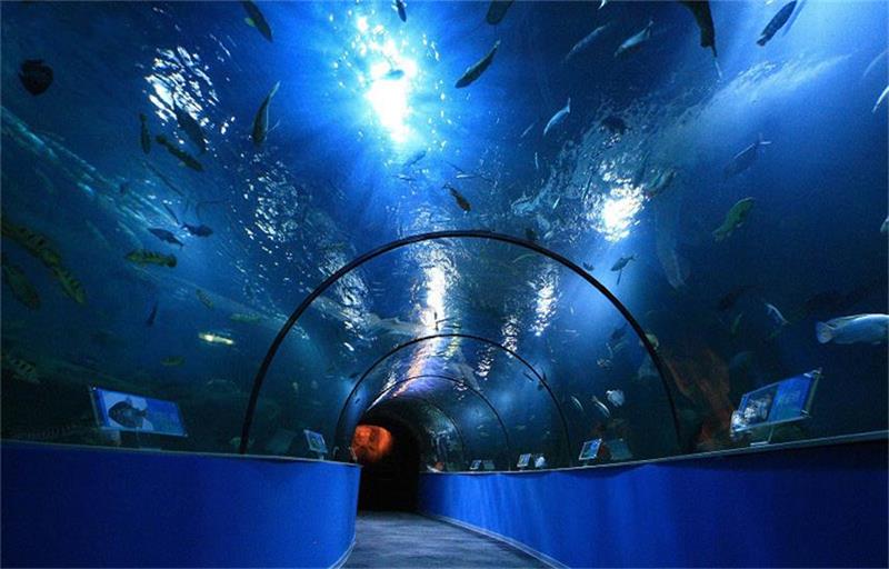 蘇州太湖海洋館 蘇州太湖海洋館