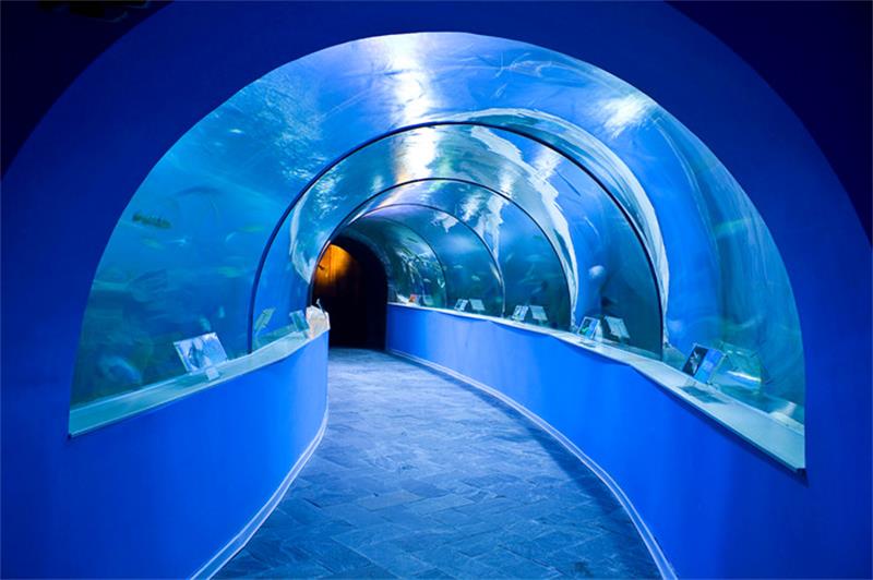 蘇州太湖海洋館 旅游團建