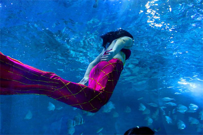 旅游團建 蘇州太湖海洋館