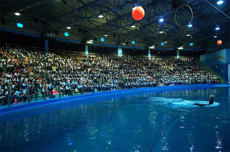 蘇州太湖海洋館 團建攻略