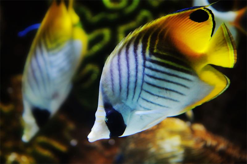 蘇州太湖海洋館 團建場地