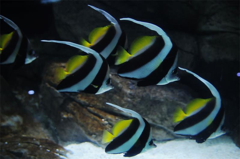 蘇州太湖海洋館 團建基地