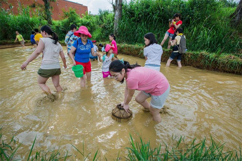 戶外親子活動(dòng)方案 戶外親子活動(dòng)方案
