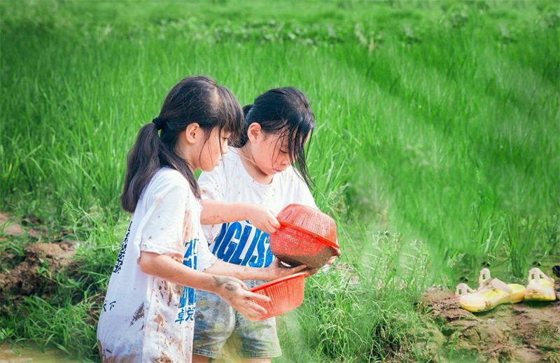 親子夏令營活動(dòng)策劃 親子夏令營活動(dòng)策劃