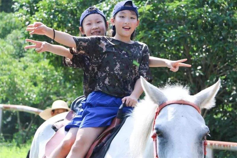 親子夏令營活動(dòng)策劃 親子夏令營