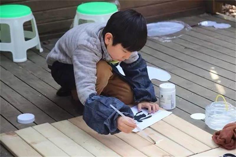 樹(shù)屋夏令營(yíng) 夏令營(yíng)活動(dòng)方案