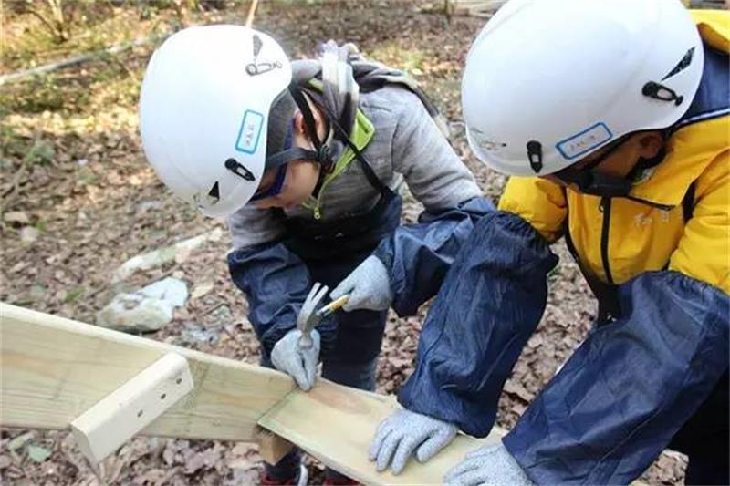 樹(shù)屋夏令營(yíng) 夏令營(yíng)團(tuán)建方案