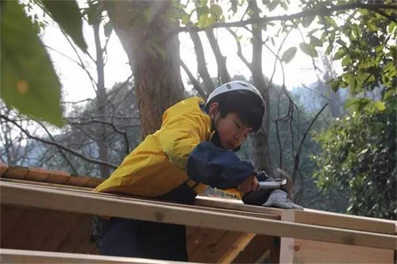 樹(shù)屋夏令營(yíng) aac50f3355ca43f3bf03c25afcd4a94b_th.jpg