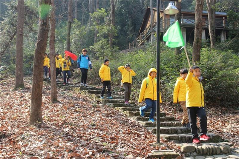 樹(shù)屋夏令營(yíng) 冬令營(yíng)