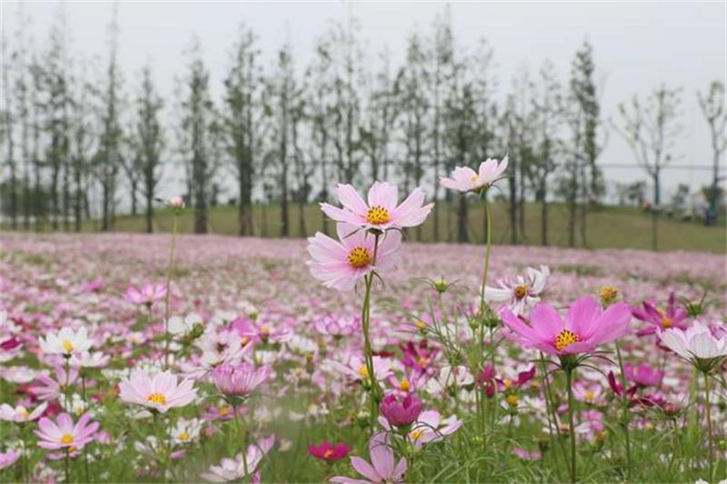 �H���λ��(d��ng)����