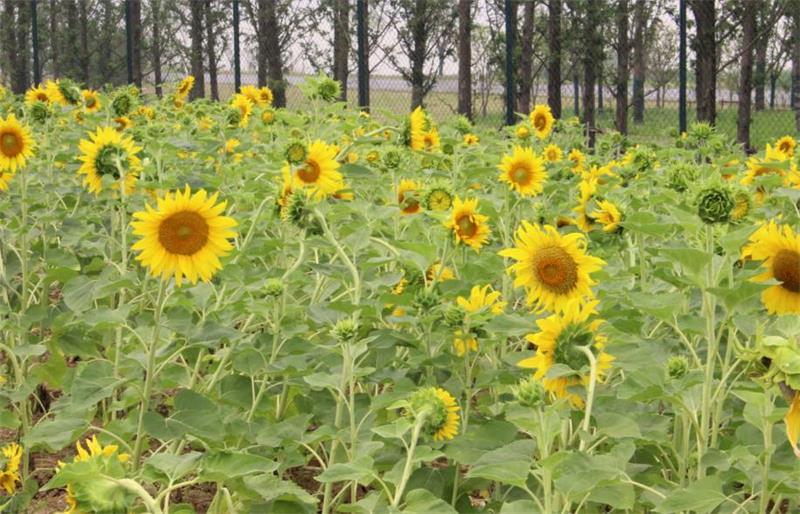 ���(d��ng)����