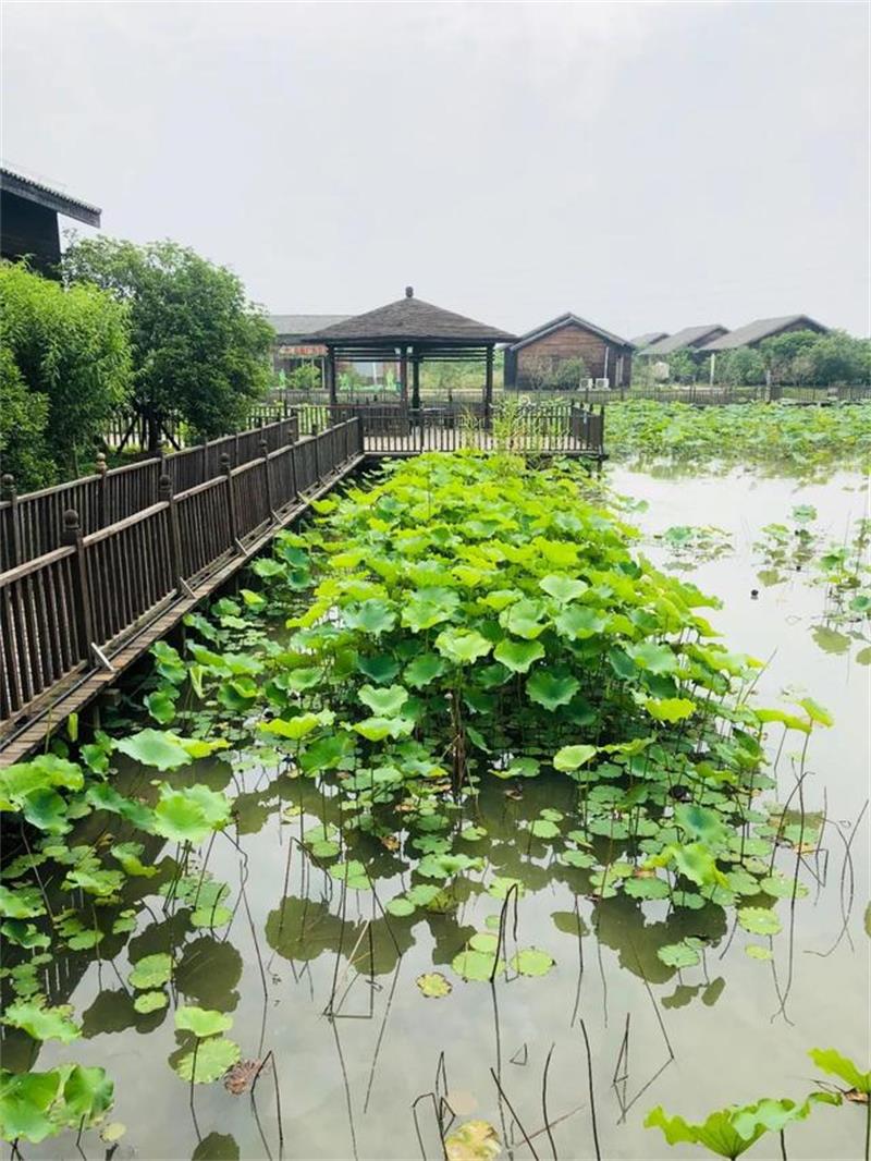 �K�ݴ���r(n��ng)�f