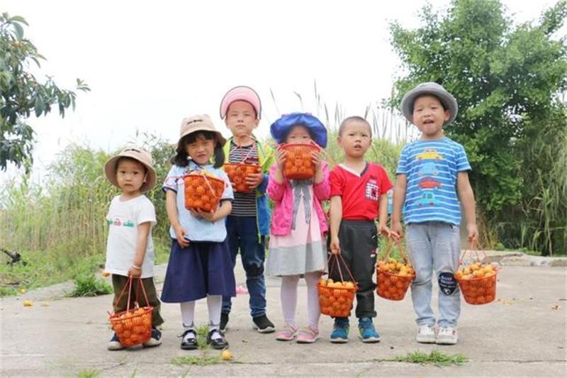 ̫����ժ����