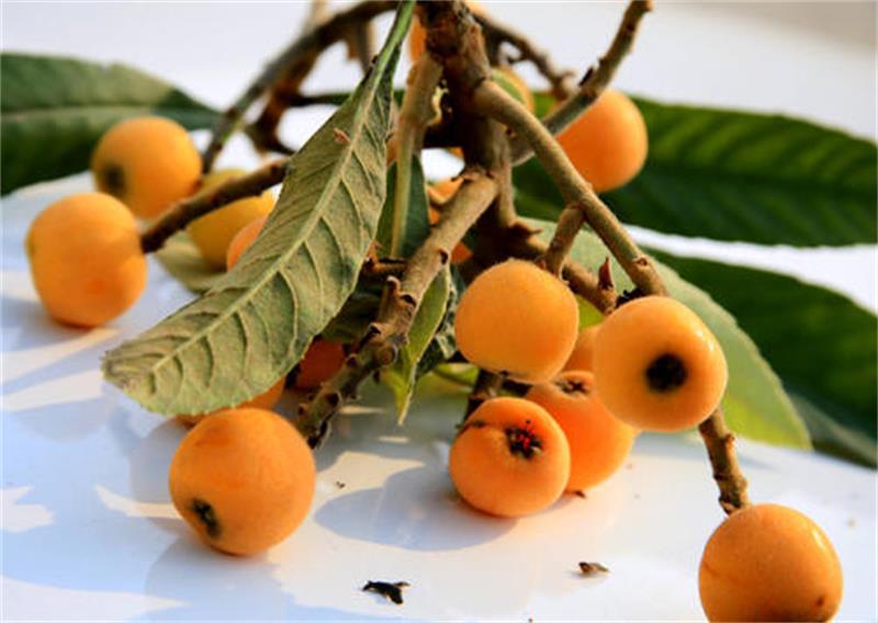 �K�ݽ�Mͥ��ժ���