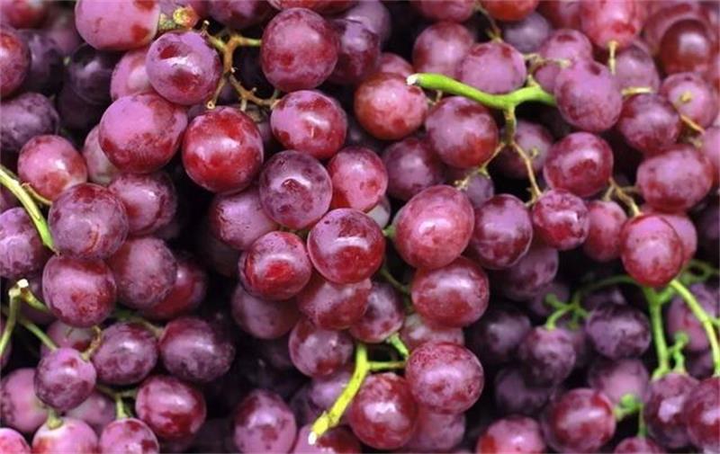 ̫�����Ѳ�ժ���