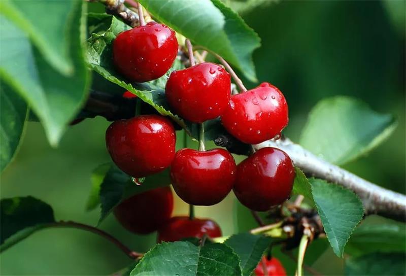 1589005859978843.jpg 134594-200414111609640.jpg