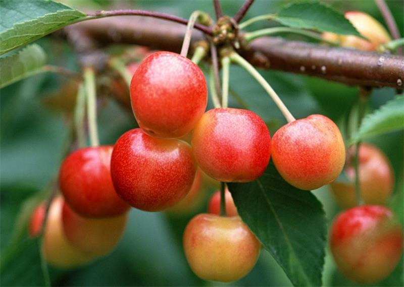 太湖旅游團建 134594-200414111631D7.jpg