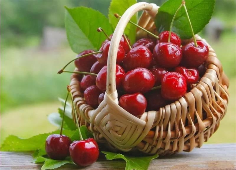 采摘體驗 134594-200414111A9140_看圖王.jpg