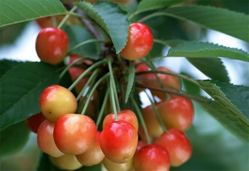 太湖美景 134594-200414111HX49.jpg