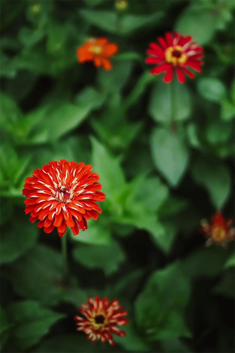 蘇州太湖植物科普?qǐng)@ 團(tuán)建基地