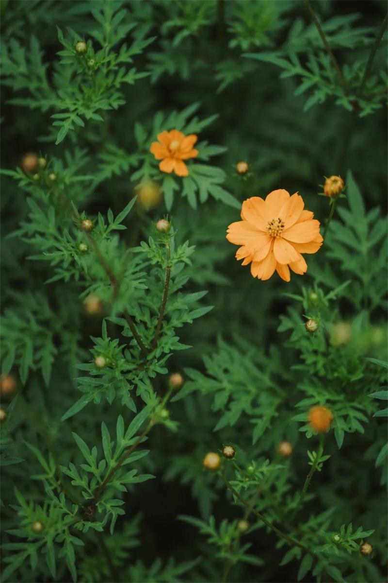 1591530962213222.jpg 微信圖片_20200607195538.jpg