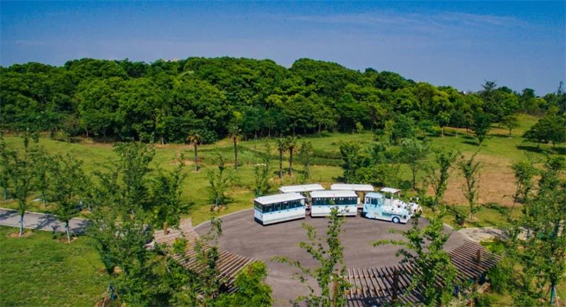 1591531255541382.jpg 微信圖片_20200607200003.jpg