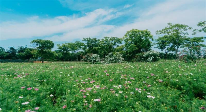 1591531322310904.jpg 微信圖片_20200607200125.jpg