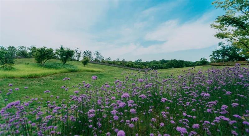 1591531333266323.jpg 微信圖片_20200607200130.jpg