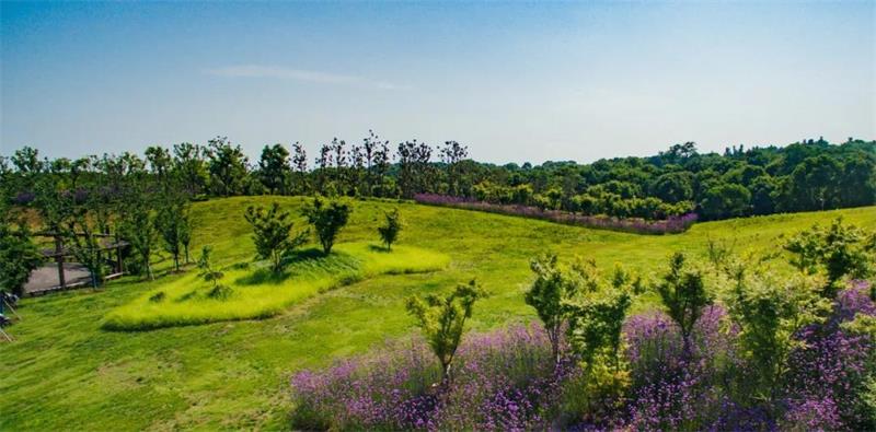 1591531486128041.jpg 微信圖片_20200607200351.jpg