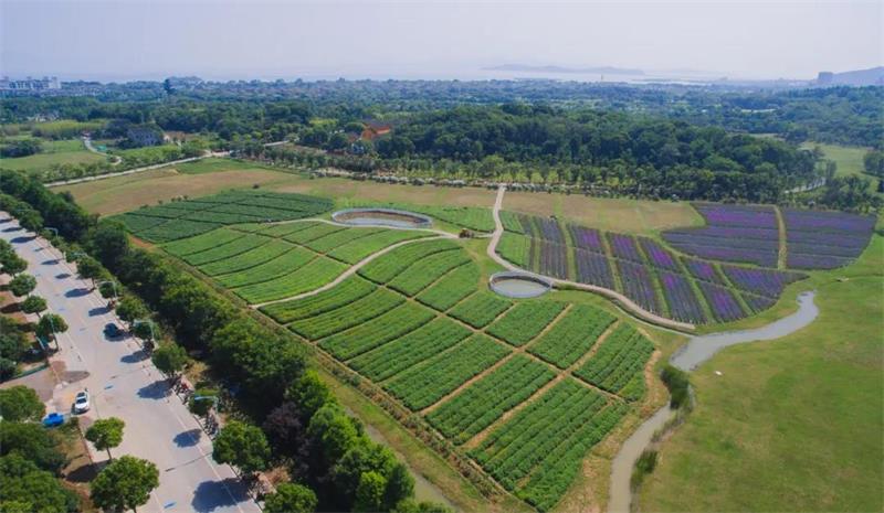 1591531512693758.jpg 微信圖片_20200607200359.jpg