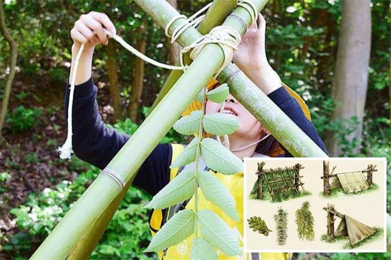 1592311522960512.jpg 微信圖片_20200616204456.jpg