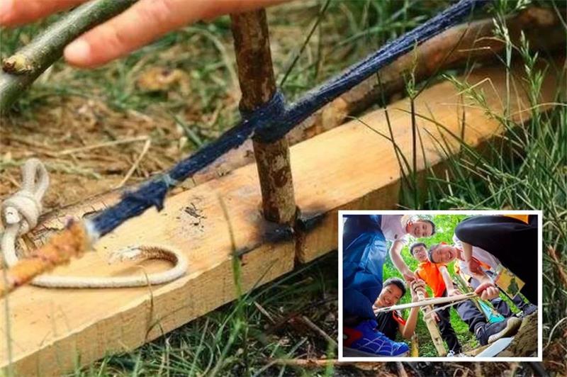 1592311740453856.jpg 微信圖片_20200616204829.jpg