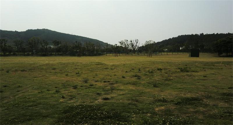 陽(yáng)山團(tuán)建攻略 1488774573391999.jpg